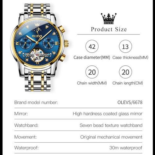 Reloj De Moda Mecánico Clásico Olevs Tourbillon