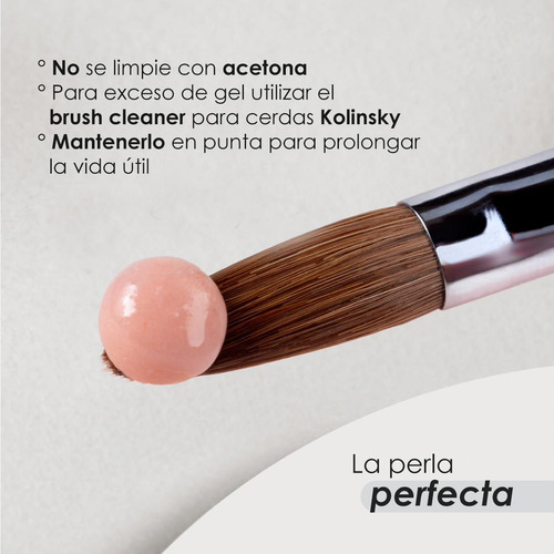 Pincel Master Diseño Gel Uñas #6 W Madera By Organic Nails