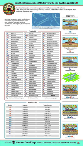 Naturesgoodguys Beneficiosos Nematodos Sf Steinernema Feltia