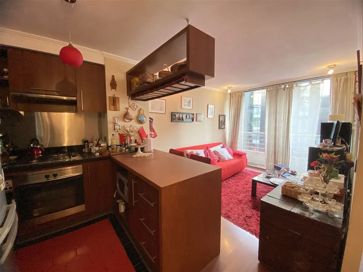 Imagen 1 de 15 de Departamento En Venta En Providencia