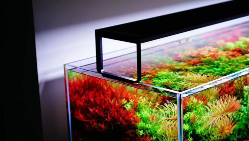 Luminária De Led At5s 530s Full Spectrum Netlea 30cm Luzes Rgb 127/220v