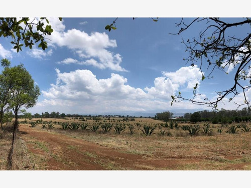 Imagen 3 de 12 de Terreno En Venta San Pablo Ojo De Agua