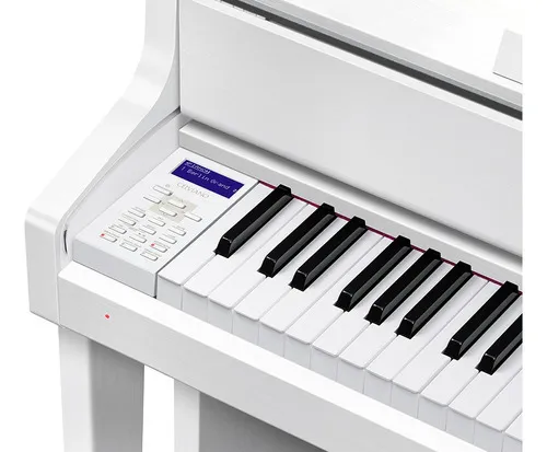Casio 2025 gp 310