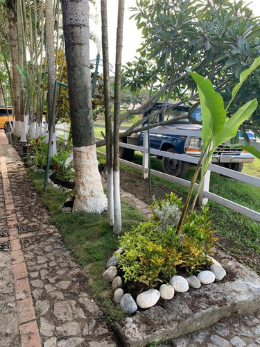 Vendo Hacienda Ecuestre 14.000m2, Incluye 5 Caballos. Tejerías, Edo Aragua.
