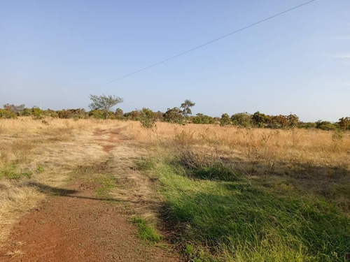 Imagen 5 de 11 de Venta De Espectacular Hato En Calabozo Estado Guárico