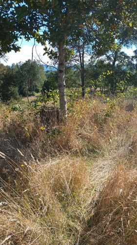 Parcela En Venta En Fresia 7.000.000m2