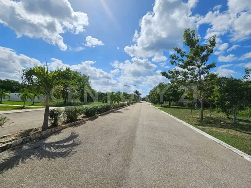 Residencia En Construcción, 1586 M2 De Terreno En Campo Bravo, Mérida, Yucatán.