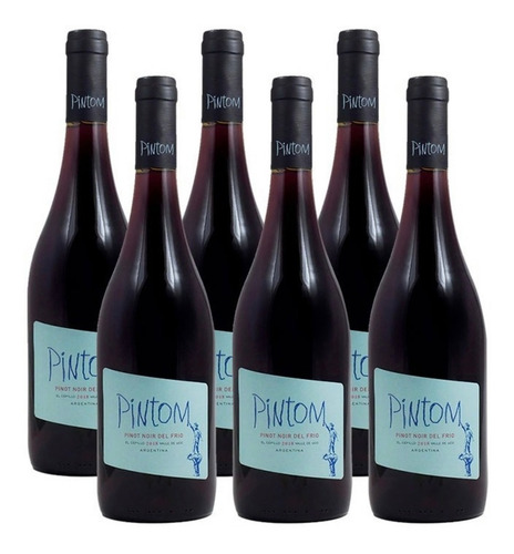 Caja X6 Pintom Pinot Noir - Vino Canopus El Cepillo Organico