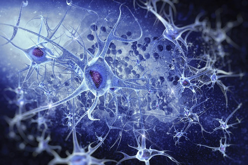 Imagen 6 de 7 de Vitamina B12 Liposomal 60 Caps Previene Anemia Ortomolecular