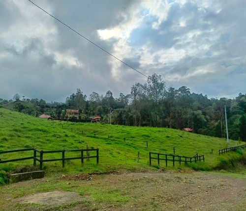 Lotes En Venta En Condominio Campestre A1 Km Del Centro De Pacho