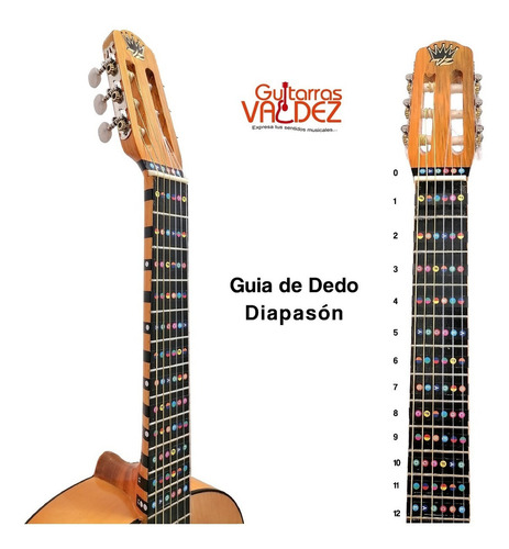 Guia Principiantes Guitarra Escala Notas Diapasón Valdez Color Negro Tamaño Fino