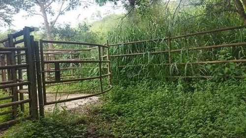 Imagen 6 de 14 de Baja De Precio... En Venta Finca En El Municipio Montalban - Carabobo