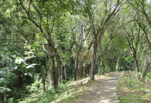Imagem 14 de 16 de Terreno No Bosque Das Mansões - Te0574