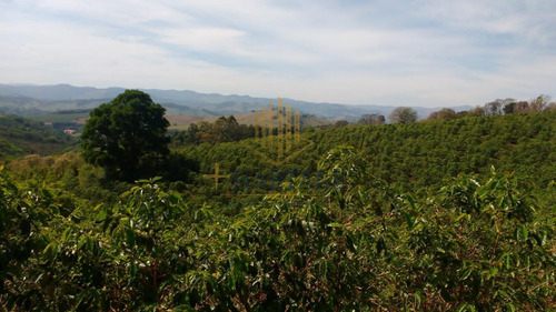 Imagem 2 de 15 de Fazenda Para Venda Em Ouro Fino, Centro - Fazenda 0_1-2237059