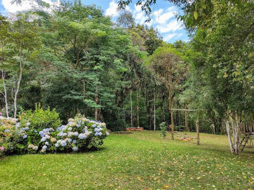 Chácara À Venda, 395775 M² Por R$ 1.100.000 - Três Córregos - Campo Largo/pr - Ch0011