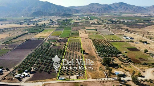 Imagen 3 de 7 de 2.8 Hectáreas Cerca De Vinícola El Cielo En Valle De Guadalu