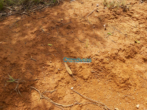 Imagem 12 de 25 de Fazenda A Venda - Área Rural - Fa0275