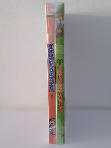 Street Fighter Alpha + Sakura Ganbaru Mangá Completo New Pop