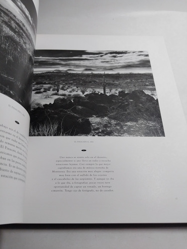Esquivas Paisajes Del Tiempo Obra Fotografica (Usado)