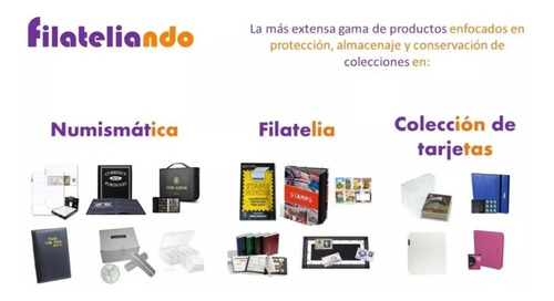 10 Micas Hojas Bcw Para Billetes 3 Espacios Para 30 Billetes