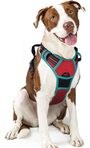 Arnés Para Perros Rabbitgoo, Sin Tirones, Ajustable, Grande