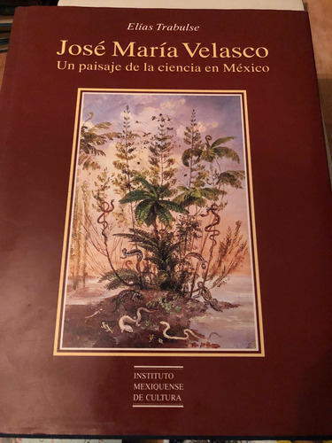 José Maria Velasco Un Paisaje De La Ciencia En Mexico 