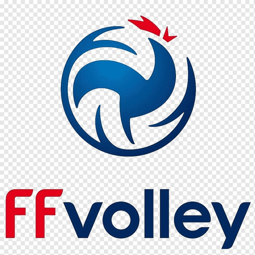 Imagen 5 de 7 de Camiseta De Voley - Seleccion De Francia - Original - 040