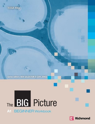 The Big Picture Beginner Workbook And Students Audio Cd