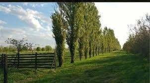Imagen 22 de 23 de Venta Terreno Haras De Funes Club De Campo
