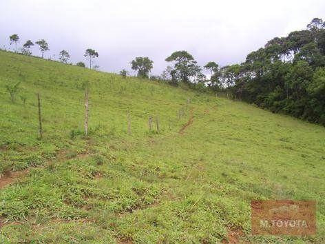 Imagem 15 de 20 de Sítio À Venda, 163000 M² Por R$ 650.000,00 - Vargem Do Salto - Ibiúna/sp - Si0001