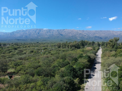 Imagen 9 de 16 de Terreno - Piedra Blanca Abajo