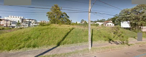 Imagem 3 de 4 de Terreno - Te00032 - 69369699