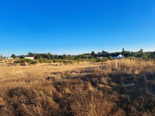 Parcela De 5000 M2 Factibilidad Pozo, Postación Eléctrica
