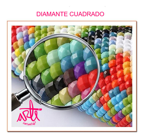 F Diamond Painting Kit Pintura Diamante Flores