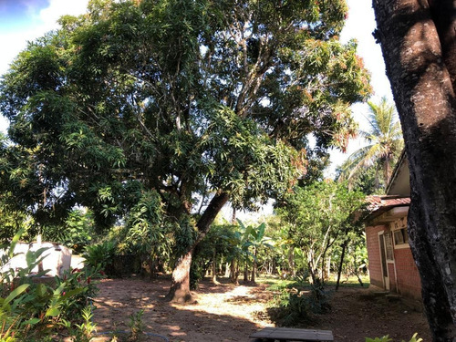 Imagem 25 de 30 de Chácara À Venda, 3664 M² Por R$ 540.000,00 - Aldeia - Camaragibe/pe - Ch0025