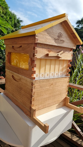 Colmeia Automática Flow Auto Frame Honey Hive