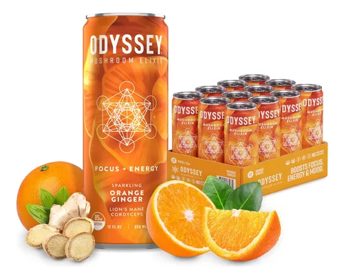 Beba Odyssey Elixir Sparkling Mushroom Orange Ginger 355ml | Frete