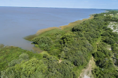 Imagen 11 de 16 de Campos Venta Carmelo Sobre Río De La Plata