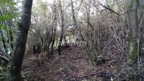 Imagen 13 de 14 de Susana Aravena Propiedades Terreno - San Martin De Los Andes