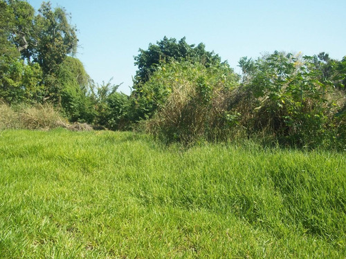 Imagem 3 de 7 de Terreno Para Venda Em Taubaté, Parque São Luís - Te0063_1-1893829