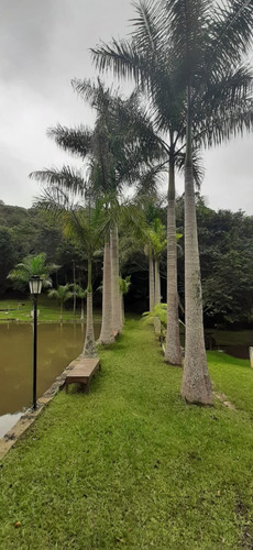 Imagem 1 de 30 de 01- Chácara Rica Em Aguá Com Piscina Toda Estruturada ! Com Escritura.