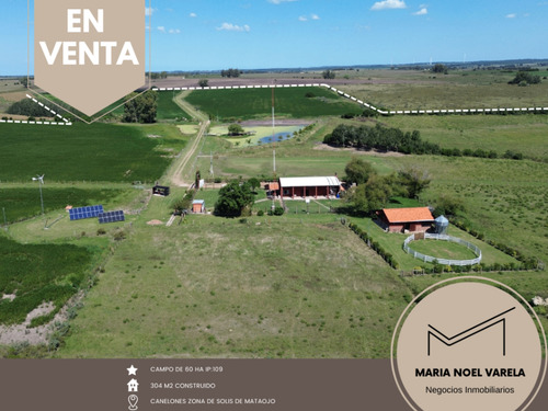 Venta Campo Solís De Mataojo