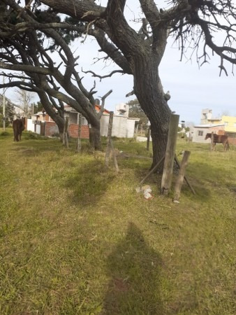 Imagen 3 de 3 de Lote En Venta !