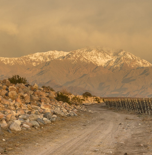 Zuccardi Poligonos Tupungato Semillon