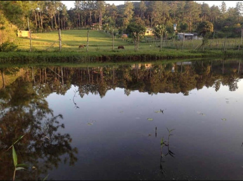 Imagem 6 de 6 de Sítio À Venda Em Juquitiba Com Lago Pasto Riacho Ótimo Acesso