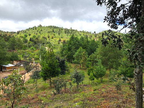 Terreno En Venta En San Cristobal De Las Casas