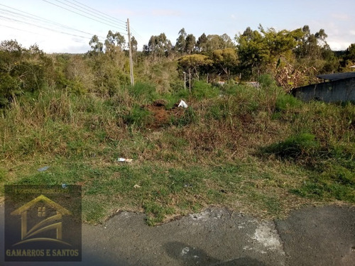 Imagem 6 de 6 de Terreno Com 500,50m² Em Quatro Barras - Te00021 - 32917423