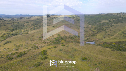 Campo En Venta De 190 Has Con Historica Calera Y Olivos A Sólo 15 Km De Pueblo Eden.