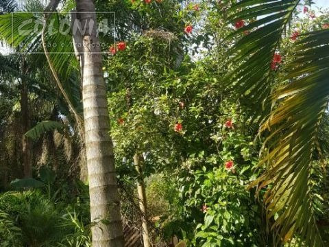 Imagem 7 de 30 de Rural A Venda - 4203305