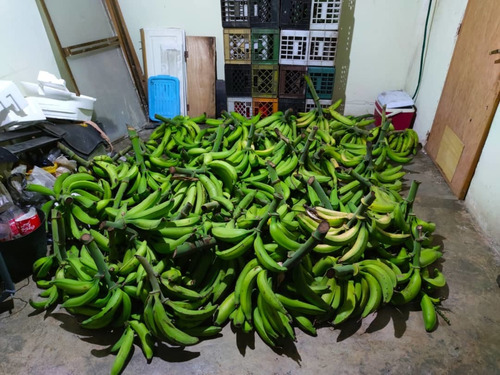 Imagen 16 de 21 de Se Vende Finca Con Casa En Tronconero Yagua Guacara